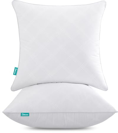 Oubonun Cushion Inserts 45cm x 45cm (18 x 18 Inch) 2 Pack