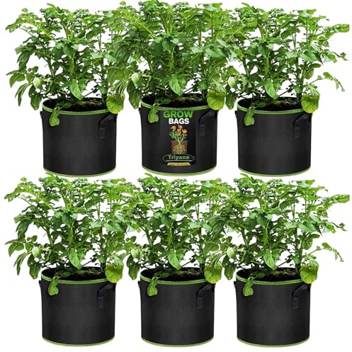 Trlyane Lot de 6 Sacs à Plantes, 12L Ø 25cm Hauteur 22cm Sac de Culture en Non Tissé Pot de Fleur Sac de Jardin avec Poignée Sangles Aération Tissu Pots, 3 Gallons