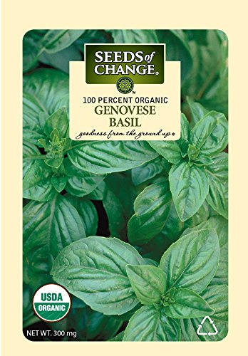 Seeds of Change Certified Organic Genovese Basil