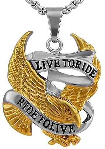 Hanessa Gioielli da uomo, collana da motociclista, aquila placcata oro, in acciaio inox, regalo di Natale per il fidanzato/marito, Acciaio inossidabile, Nessuna pietra preziosa