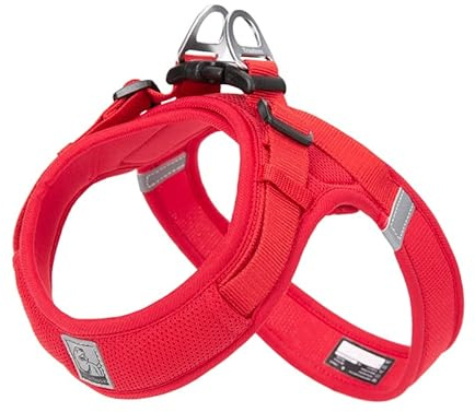 WINHYEPET Truelove Hundegeschirr weiches Mesh reflektierend atmungsaktiv Schritt-in Hundegeschirr, Easy Walk Geschirr, Weste Geschirr TLH3013