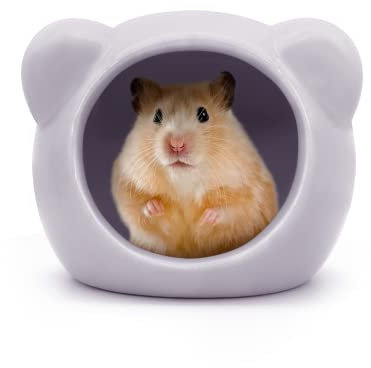 Andiker Keramik-Hamsterhaus, Kleintier-Lebensraumdekoration, Premium-Qualität, leicht zu reinigen, geeignet für Hamster, Rennmäuse, Chinchilla, mehrfarbig