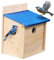 Navaris Vogelhaus - Vogelfutterhaus aus Holz - Vogelhäuschen - Vogelhaus mit Futterspender - Austauschbare Front - Mit Schutzdach für kleine Vögel - Kiefernholz