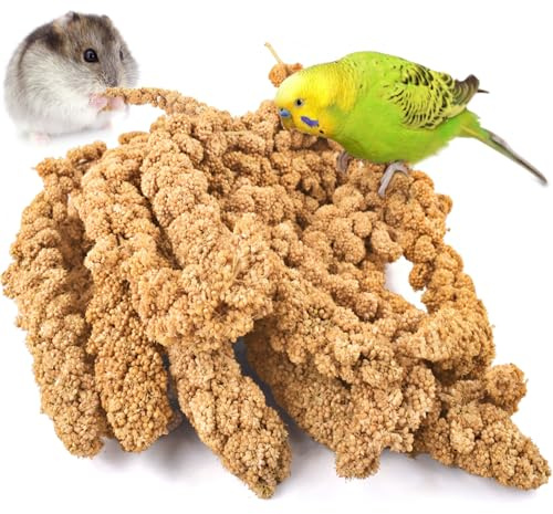 KATUMO 1.1LB Spray Millet Treat for Pet Birds, Natual Sun-Dried Bird Millet Parrot Food for Parakeet Budgie Cockatiel Finches Lovebird Conure Parrots Hamster