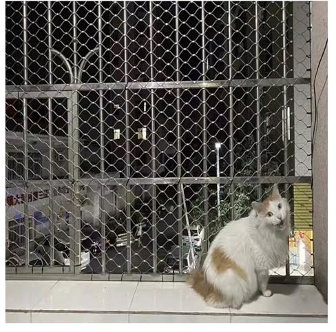 SHAARI Katzen-Sicherheitsnetz, Absturzsicherung, Stahlseilkonstruktion Geeignet für Katzen-AktivitäTsbereiche, Fensterschutz(5cm mesh,0.8x8m)