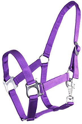 ARBO-INOX® Halfter mit Schiebeschnalle Stallhalfter Basic (Mini Shetty, lila)