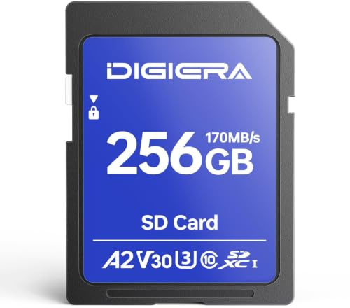 Scheda di Memoria SDXC UHS-I LS100 da 256 GB - Fino a 170 MB/s, C10, U3, V30, 4K UHD, per Computer, Fotocamere Digitali, Dispositivi Home Theatre, Navigatori Auto (Confezione da 1)