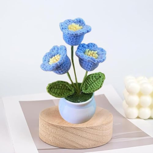 Esyzsss Bouquet di fiori all'uncinetto, fiori lavorati a maglia, orchidea a campana intrecciata a mano, piccola pianta in vaso con fiori puri all'uncinetto, adatta per scrivania di casa e ufficio