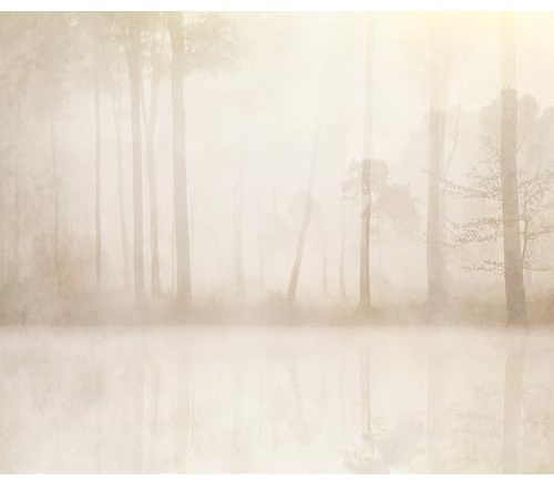 murando - Fototapete selbstklebend Wald, 490x350 cm, Schlafzimmer, Full HD | Selbstklebend ohne Kleister, Full HD Druck, ideal fürs Wohn- oder Schlafzimmer, schnelle Montage, lichtbeständig, geruchsfrei