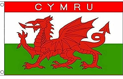 AZ FLAG Flagga Wales Cymru 90x60 cm 100D Polyester 2 Öljetter | Inom- och utomhusbruk dekorativ flagga dubbelsydda sömmar och förstärkta kanter med metallöljetter