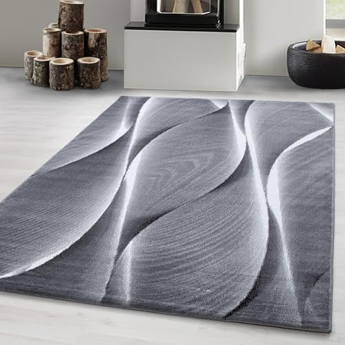 Carpetsale24 Teppich Wohnzimmer 120x170 cm Grau Modern Holz Optik Wellen Design Kurzflor Schlafzimmer Esszimmer Küche Jugendzimmer Waschbar Pflegeleicht Extra Weich