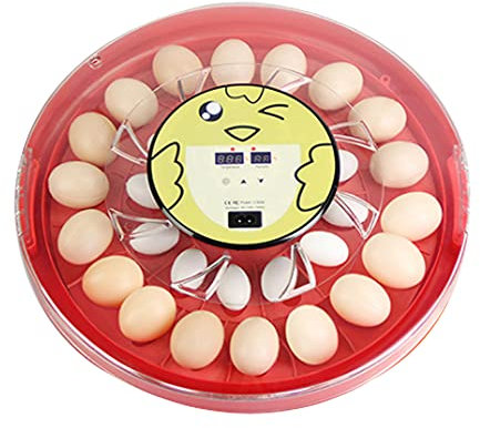 NaMaSyo 30-Eier Vollautomatische Brutmaschine Brutkasten Ente Huhn Brutapparat Round Digital Hatcher