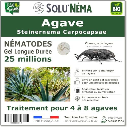 SOLUNEMA - Nématodes SC Contre le Charançon de l'Agave - Pour 4 à 8 Agaves - 25 millions Steinernema Carpocapsae