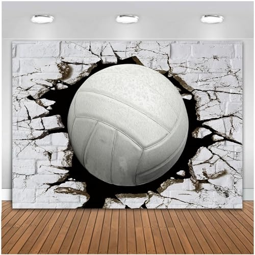 TOAOFY 10x8ft 3D Sport Volleyball Background White Ball on Broken Wall Backdrop Volleyball Photo Backdrop for Photography Photo Studio Props TAYBZT597