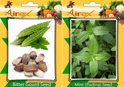 Zucca Amara, Semi di Menta