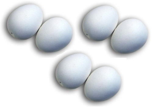 Ingbertson 6 Nesteier aus Gips für Bruthilfe oder Osterdekoration