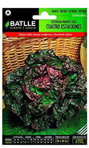 Semillas Batlle Lattuga Marv. 4 STAZIONI