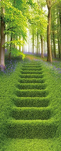 A.Monamour Türtapete Selbstklebend Türfolie Türposter 3D Rasentreppe des Grünen Grases Im Wald Vinyl Folie Türdeko Tapete Wandbild Türaufkleber Türtattoo 90 x 200 cm