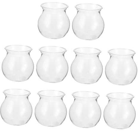 Levemolo 10 Stück Sukkulenten-pflanzgefäßhalter Aus Plastik Für Hydrokultur Transparentes Mikro-landschafts-DIY-gefäß Tischdekoration