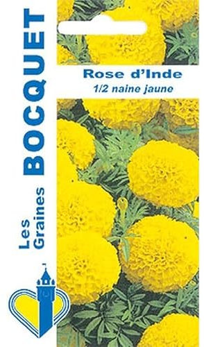 Sachet de graines de Rose d'Inde demi naine jaune - 1,5 g - fleur annuelle - LES GRAINES BOCQUET