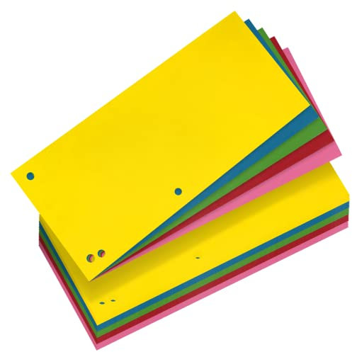 Netuno 100 Trennstreifen aus Karton 240x105mm farbig sortiert Papier-Trennstreifen bunte Laschen Register-Trenner mit Perforation Trennlaschen Trennblätter Ordner Ablagestreifen Aktenschilder