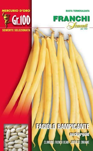 Franchi sementi semi di fagioli e fagiolini nani e rampicanti in confezioni varie (rampicante neckargold, 100 grammi)