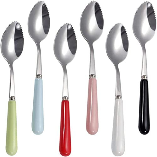 Set mit 6 Grapefruit-Löffeln mit runden gezackten Kanten, Edelstahl-Löffel mit mehrfarbigem Keramikgriff, Kiwi-Apfel, Zitrusfrüchte, Dessertlöffel-Sets