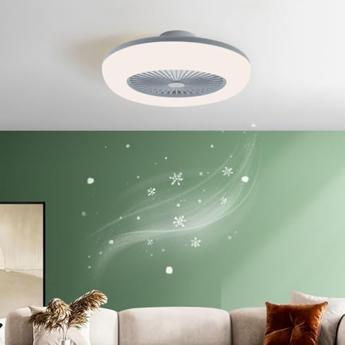 Warmiehomy 75W LED Ceiling Light with Fan,55cm Dimmable Ceiling Fans with Remote Control,6 Speeds 5 Blades Quiet Ceiling Fan Light for Living Room,Bedroom,Kitchen,3000K-6500K(Grey)