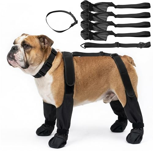 Wood Homing wasserdichte Hundeschuhe - Anti Rutsch Hundestiefel mit verstellbarem Gurt und Klettverschluss Pfotenschutz für kleine mittel Grosse Hunde Outdoor Regen Schnee Hitze Hundeschuhe (M)