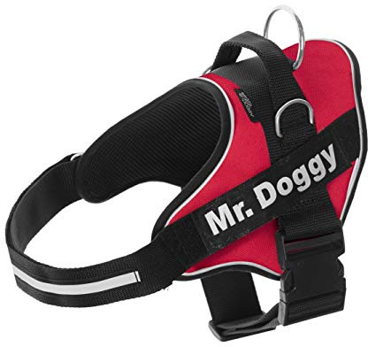 MR. DOGGY Personalisiertes Hundegeschirr - Reflektierendes und sicheres Hundegeschirr - Enthält 2 Namensschilder - Klein, Mittel und Groß - Qualität und Beständigkeit (Rot, XS 3-7,5KG)