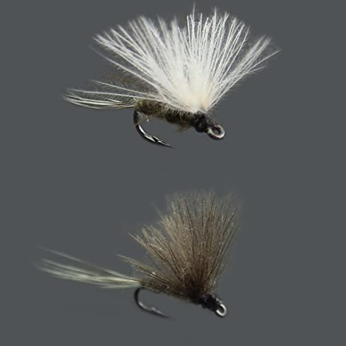 Fliegenfischen Trockenfliegen / Nymphen / Caddis Fallschirm / Dorato Hasenohr / Elch Hari / Griffith's GNAT/HEMMINGWAY / Fallschirm Adams / Royal Coachman / Peg's Midge (kleine CDC Dun)