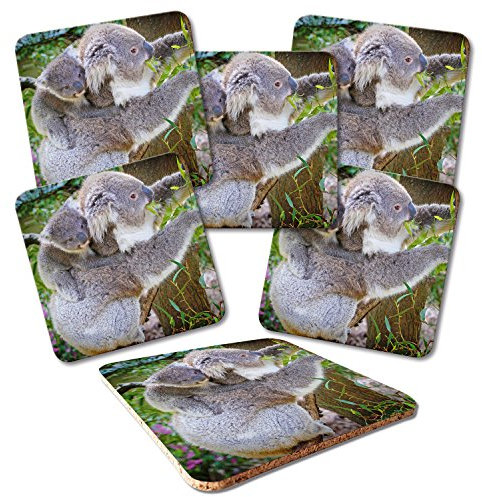 ADDIES Glas-Untersetzer 6-TLG.Set Bedruckt Motiv Koala in hochwertiger Klarsicht-Geschenkbox und Korkrückseite