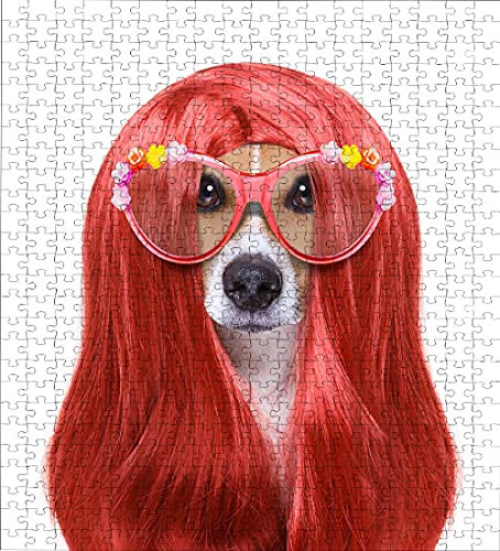 LHJOY 3D Puzzle Allianz Arena 1000 Teile Jack Russell Terrier Hundebrillen sehen tierisch aus Geburtstagsgeschenk 75x50cm