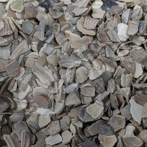 Dihl Poultry Oyster Shell Grit, 25 KG | High in Calcium, Enhancing Strong Bones, Helps Digestion, Promotes Quality Chicken Hen Eggs, Soluble Natural Food Mix