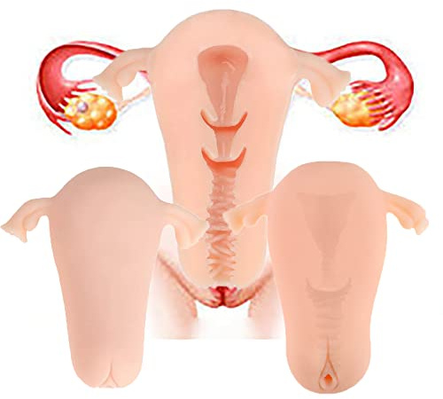 Kuaecr 2 Größen Realistische Taschenmuschi Masturbator Realistisch Sex spielzeug SM Taschenmuschi Realistisch mit 3D Klein mit Schamlippen Vagina Klitoris Uterus Sex Toy Masturbieren für Männer (Groß)