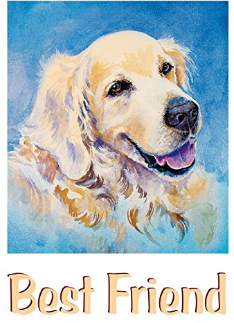 Trasferimento da stiro, DIN A4, per decorare tessuti come magliette e borse con motivi di stiratura, immagini trasferimento rapido e facile da stirare, design fai da te (Golden Retriever).