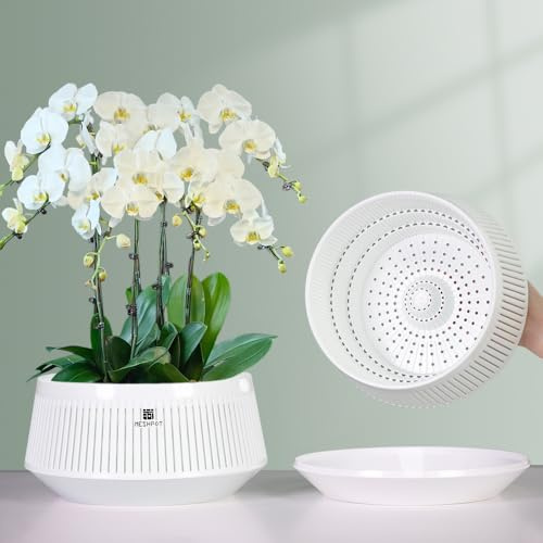Meshpot 8 inch Orchid Pots with Holes for Repotting,Set of 2,Decorative African Violet Pots with Air-Pruning and Good Air Circulation,Plastic White Orchid Planter with Saucers