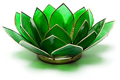 Find Something Different Etwas Finden Verschiedene grün Chakra 4 Capiz Shell Lotus Teelichthalter, Bambus, Mehrfarbig