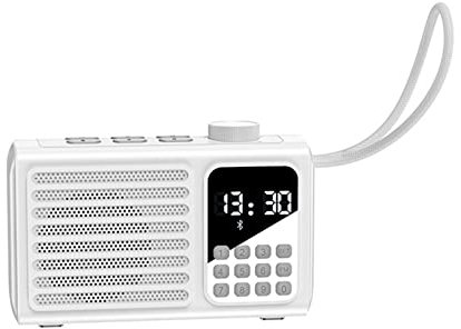 WiFi Internet Radio Bluetooth Speaker Portable Small Mini Walkman Player Card (Color : White, Size : Bluetooth+WiFi version)