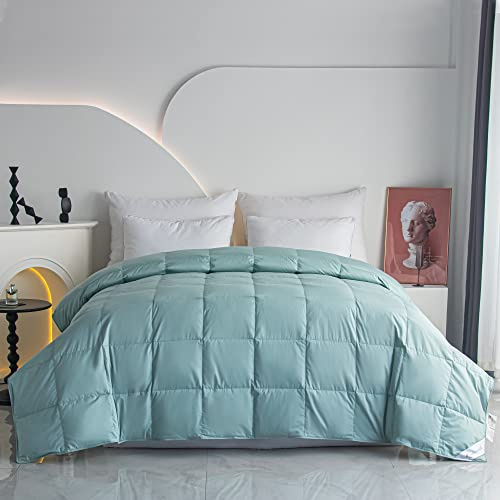 Eastwarmth Lightweight Goose Down Comforter Blanket Duvet for Summer/Warm Weather,100% Cotton Cover, Lake Blue Queen Size