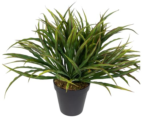 Seidenblumen Roß Dracenabusch 32x40cm im Topf YF Kunstpflanzen künstliche Dracena Pflanze Drachenbaum Palme (mit Topf - Grün-Rot)