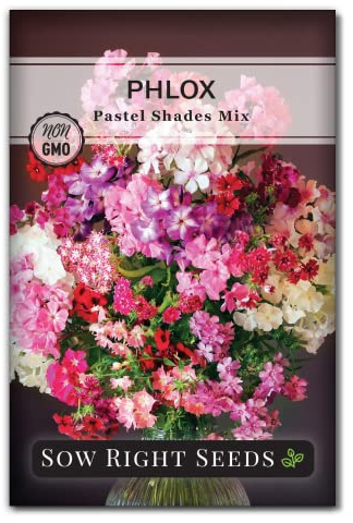 Sow Right Seeds - Pastel Shades Mixed Phlox Seeds for Planting - Beautiful Flowers to Plant in Your Home Pollinator Garden - Non-GMO Heirloom Seeds - Creeping Perennial with Pretty Flower Clusters (1)