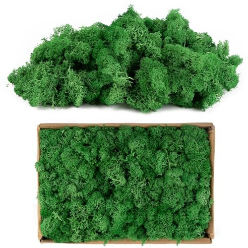 AIYONG Islandmoos, Grün, 200 g Echtes Natur-Moos, Konserviert, Gereinigt zum Basteln, Deko-Moos zu Ostern, Halloween, Weihnachten für den Modellbau, Handgefertigt, Moosbild Deko, Garten, Außenbereich