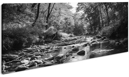 Waldbach; sanft plätschernd, umgeben von Bäumen, die Natur in vollkommener Harmonie. Panorama 80x40 cm Effekt:Schwarz&Weiß als Leinwandbild, Motiv auf Echtholzrahmen, Hochwertiger Digitaldruck