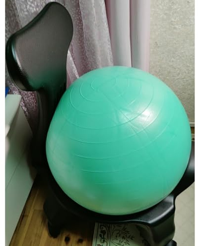 EXCLURA Sedia Palla Ufficio Sedia con Palla da Esercizio Rotante e Pompa, Sedia da Ufficio Ergonomica con Palla da Yoga per Ufficio in Gravidanza, Sedia da Scrivania(F)