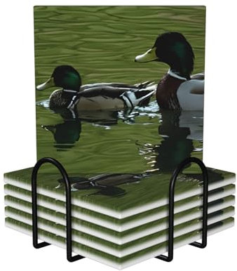 Loon Nature Keramik-Untersetzer mit Vogeldruck, stilvolle und funktionale Getränkeuntersetzer für Heimdekoration, 6 Stück