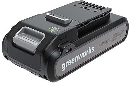 Greenworks 24V Akku und Typ C Power Bank - Original für 24V Garten- und Elektrowerkzeuge, Leistungsstarker Lithium-Ionen, Schnelles Aufladen, 2 Jahre Garantie - G24B4+