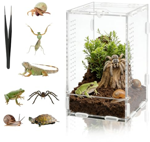 DARANYI Akryl hoppande spindelbur 20x12x11cm insektsterrarium, tarantelbur för spindlar, käppinsekter, bönsyrsor, sniglar, insekter, skorpioner