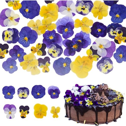 Luxorium 55 fleurs séchées pour pâtisserie, mélange de fleurs pressées pour décoration de pâtisserie, cocktails et loisirs créatifs