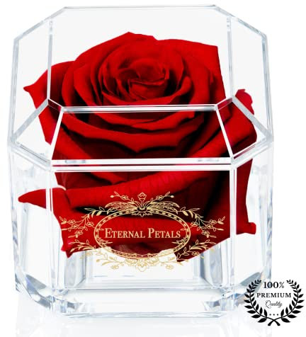 Eternal Petals Solo - A Real Rose That Lasts A Year, Flowers Delivery Next Day - Perfect Unique Gift for Women, Men, Birthday Gift (Deep Red)